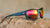 Inferno High Stakes Sunglasses, Flyover