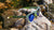 Largemouth Bass Premiums Sport Sunglasses, Flyover