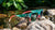 Rainbow Trout Torrey Pines Sport Sunglasses, Flyover