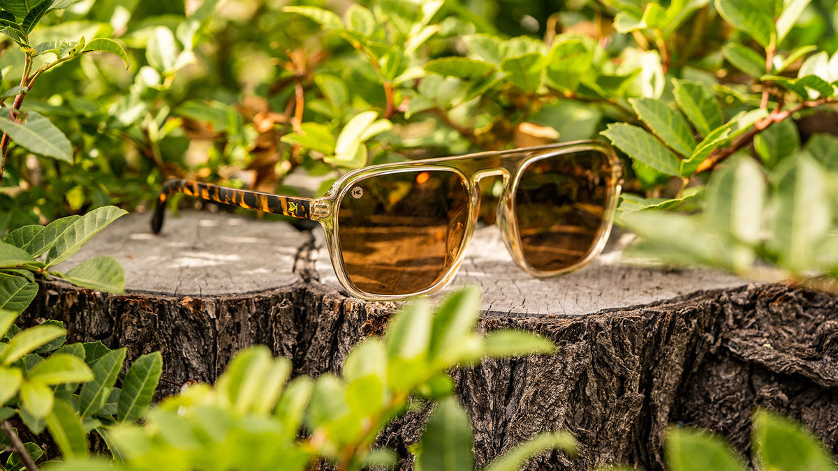 On The Rocks Pacific Palisades Sunglasses with Amber Lens