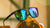 Blue Sunglasses with Polarized Green Lenses