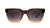 Cortado Songbirds Sunglasses, Flyover