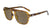 Sunglasses with Matte Tortoise Frames and Polarized Amber Lenses, Flyover