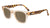 Sunglasses with Tortoise Shell Arms and Orange Fronts With Polarized Amber Lenses, Flyover