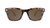 Sunglasses with Glossy Tortoise Shell Frames and Polarized Amber Lenses, Flyover